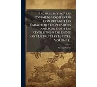 Recherches Sur Les Ossemens Fossiles, Oã¹ L'on Rã(C)Tablit Les Caractères De Plusieurs Animaux Dont Les Rã(C)Volutions Du Globe Ont Dã(C)Truit Les Espèces, Volume 1...