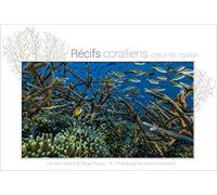 Récifs coralliens, coeur de l'océan