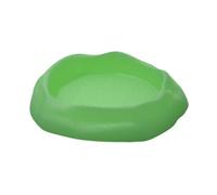 Récipient à eau pour reptile - Plateau de nourriture pour terrarium - Pour gecko - Grenouille à cornes - Amphibien - 17 x 3,5 cm - Vert