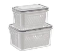 Récipient à fruits en deux pièces - Boîte de rangement dense pour congélateur empilable, insert en tamis amovible, armoire de rangement pour réfrigérateur