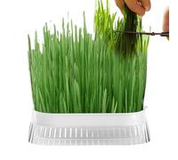 Récipient d' Chat, Planting Vessel-Nethredless éleveur | Plant Pell, Pet- Hydrocultur Boîte, Boîte la à l', réservoir d' Chat
