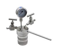 Récipient de réacteur d'autoclave de synthèse hydrothermale + jau de sortie d'entrée 100 ml 6Mpa