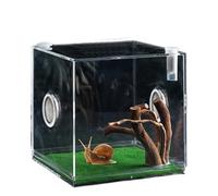 Récipient de reptile en verre transparent - Cage du reptile transparent, petite enceinte d'animaux de compagnie | Bien-être optimal pour animaux de compagnie, présence de trous respiratoires, matériau