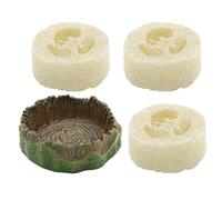 Récipient d'eau pour mangeoire à cafards - Récipient à Boire et à Manger pour Reptiles de 7 x 7 x 2 cm avec luffa, mangeoire pour enclos pour Reptiles, pièce de Vaisselle en Plastique PVC