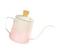 Récipient en métal 304 de qualité alimentaire pour une mesure exacte du liquide Cafetière de 600 ml avec bec long pour les amateurs de café Cafetière à long