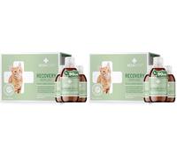 RECOACTIV Recovery Immunitaire pour Chats, 3 x 90 ML, Alimentation diététique complète hautement calorique en Cas de dénutrition et de Convalescence Ainsi pour la Prise de Poids (Lot de 2)