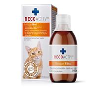 RECOACTIV Tonique Rénal pour Chats, 1 x 90 ML, complément Alimentaire pour la Convalescence en Cas de Signes précoces de Troubles de la Fonction rénale du Chat Ainsi Que pour la prophylaxie