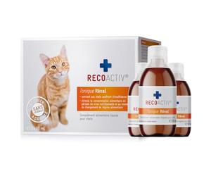RECOACTIV Tonique Rénal pour Chats, 3 x 90 ML, complément Alimentaire pour la Convalescence en Cas de Signes précoces de Troubles de la Fonction rénale du Chat Ainsi Que pour la prophylaxie