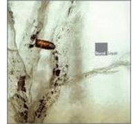 Recoil - Liquid