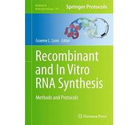 Recombinant And In Vitro Rna Synthesis