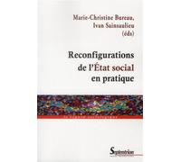 Reconfigurations de l''Etat social en pratique Les interactions entre acteurs publics, professionnels et militants dans le champ de l''intervention sociale - PU Septentrion - Presses Universitaires Du