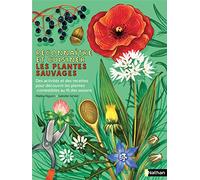 Reconnaître et cuisiner les plantes sauvages - Découvrir les plantes comestibles au fil des saisons