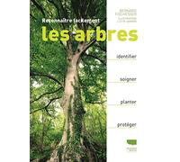 Reconnaître facilement les arbres