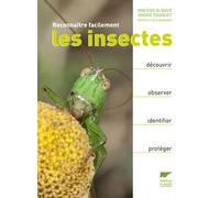 Reconnaître Facilement Les Insectes