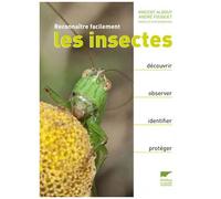 Reconnaître Facilement Les Insectes