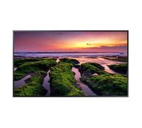 Reconnect Samsung LCD 43 inch entry