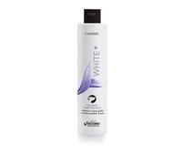 Record Charme White+ après-shampooing hydratant pour Chien - Action Anti-jaunissement - Huile de Coton et Coco - fabriqué en Italie 250 ML