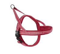 Record Dolomiti Dog Harness - Colour Red - Size M - Circumference 62-72 cm - Material : Braided Nylon with 3M ScotchLite Reflective Bands