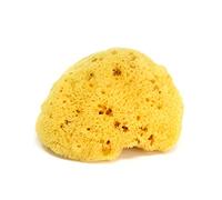 Record of Lodoss War: Deedlit in Wonder Labyrinth