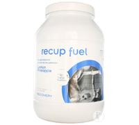 Recup-Fuel Lemon Poudre 1,5kg