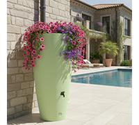 Récupérateur d'eau conique ros'eau 2-en-1