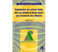 Récupération des métaux lourds dans les déchets et boues issues des traitements des effluents: état de l'Art - Christiane Chaffot - Technique Et Documentation - broché - Scolaire / Universitaire