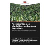 Récupération des plantations de bananes dégradées: Application d'engrais minéraux et de biofertilisants