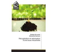 Recuperation et valorisation d'une boue industrielle - Djedjiga Bousalah - Noor Publishing - broché - Etude