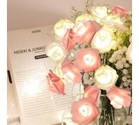 RECUTMS Guirlande lumineuse de roses artificielles de 3 m, 20 LED, alimentée par piles, pour Saint-Valentin, mariage, fête des mères, décoration d'intérieur et d'extérieur (rose + blanc)