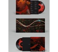 Casanova Deluxe [Import]