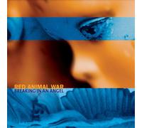 Red Animal War Breaking in an Angel (Vinyl) 12" Album Coloured Vinyl