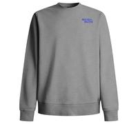 Red Bull Racing X Pepe Jeans Reflect Logo Crew Maillot de survêtement, Gris chiné, M Homme