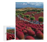 Red Carpet Hillside Paradise Puzzle 1000 Pièces Educa Jouet en Bois Cadeau Unique Décoration Intérieure Jeu Éducatif Challenge Toy Adultes Et Enfants À Partir De 14 Ans 500 PCS