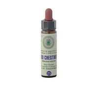 Red Chestnut n° 25 Fleur de Bach farmaflor, 1 Flacon Comtpe Gouttes 10ml - Made in Italy