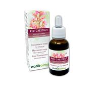 Red chestnut ou Marronnier rouge (Aesculus carnea) Remèdes floraux Naturalma - Gouttes 30 ml - Extrait liquide sans alcool - Essences florales - Vegan et sans alcool