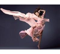 Red Cliff/Shin.Sen [Import]