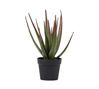 RED DECO Plante Artificielle en Pot Aloe H81Cm