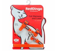 Red Dingo Basic Laisse/Harnais pour Chat Orange