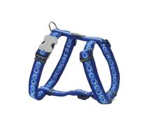 Red Dingo DH-CO-DB-SM Dog Harness Design Cosmos bleu fonc-, Petit