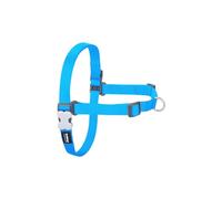 Red Dingo Harnais pour Chien 50-70 cm Turquoise M