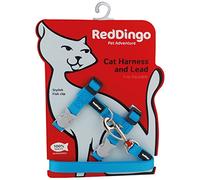 Red Dingo Laisse/Harnais pour Chat Turquoise