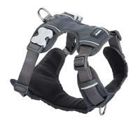 Red Dingo Padded Dog Harness Plain, Cool Grey, Extra Large 25mm Grey XL