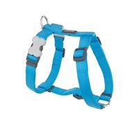 Red dingo - harnais pour chien - turquoise - s
