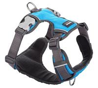 Harnais pour Chien Red Dingo Rembourré Turquoise L