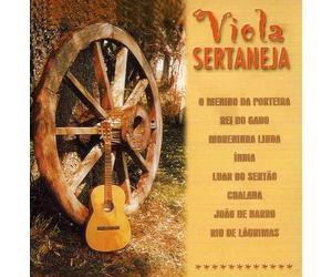 Red Dirt Rangers - Starin Down the Sun