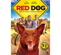 Red Dog
