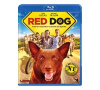Red Dog - Blu-Ray