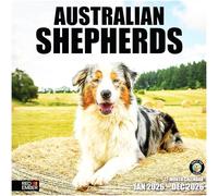 RED EMBER Calendrier mural 2026 Bergers australiens Aussies 12 mois | 30,5 x 61 cm ouvert | Papier épais et robuste | Cadeau | Calendrier 2026