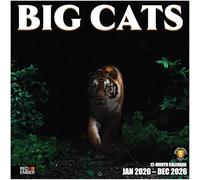RED EMBER Calendrier mural 2026 Big Cats 12 mois | 30,5 x 61 cm ouvert | Papier épais et robuste | Cadeau | Calendrier 2026