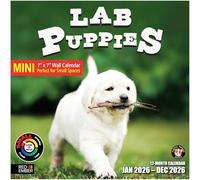 RED EMBER Lab Puppies Mini calendrier mural 2026 12 mois | 17,8 x 35,6 cm ouvert | Papier épais et robuste | Cadeau | Calendrier 2026